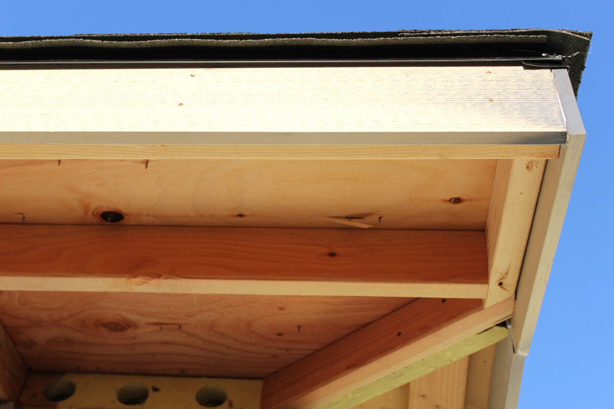 fascia board replacement Close-up view of the underside of a wooden roof overhang with exposed beams and unfinished wood against a clear blue sky.