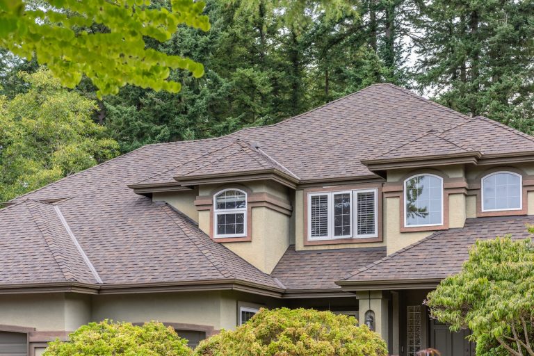 new asphalt roof